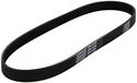 DAYCO 5PK725 V-riem POLY-V COM.ALTERN.Citroën BX 16V