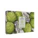 Umami Exclusive Cosmetics Woody Lemons Body Care Gift Box Pak Pakket - 1pakket
