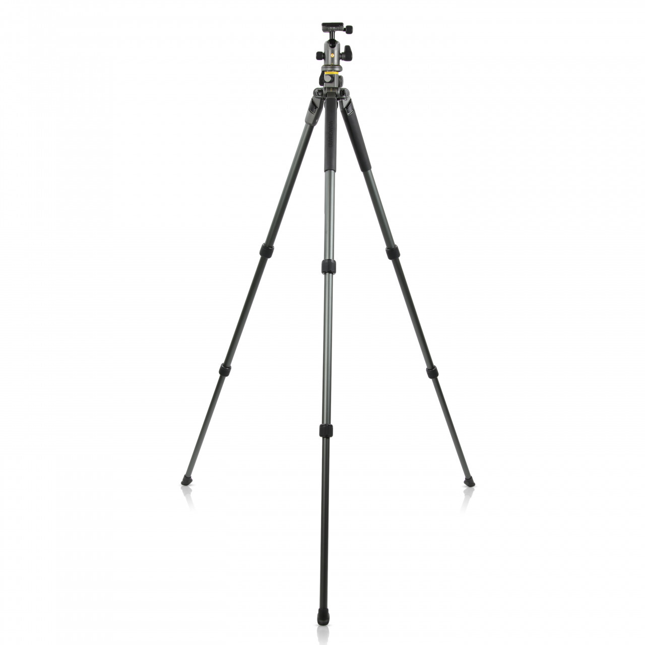 vanguard ALTA PRO 2+ 263AB100