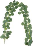 AIOR Guirlande d'eucalyptus artificielle plante artificielle, 2m