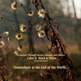 A Journey Through Forests, Seasons, and Silence: Color & Black & White Photography Edition