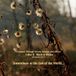 A Journey Through Forests, Seasons, and Silence: Color & Black & White Photography Edition