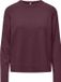 Only Trui Onlprincess Ls O-neck Raglan Knt No 15381869 Fig Dames Maat - M