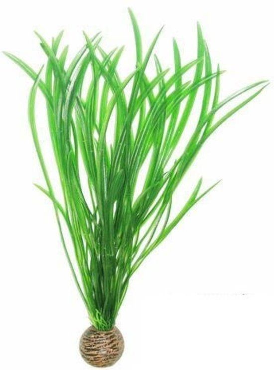 SuperFish Easy Plants Hoog 30CM NR. 4 voor aquaria