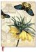 Golden Paperblanks Golden Fritillaria Midi Lined Softcover Journal, 176pg, 100gsm