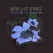 Digital Bright Eyes - Digital Ash In A Digital Urn