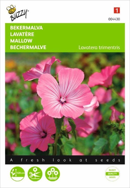 Buzzy Tuinplus B.V. Bekermalva - Lavatera trimestris - Roze - Zomerbloeier - 120 cm
