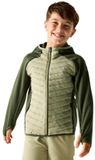 Regatta Kinderjas Junior Andreson Hybrid Gewatteerd Groen Unisex 7-8 jaar