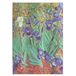 Paperblanks Van Gogh's Irises Midi - Blanc