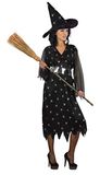 Spider Witch costume disguise fancy dress girl woman adult (One size)