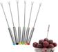 Ibenzoa® Set van 6 Roestvrijstalen Fondue- en Dessertvorken voor Fruit en Kaas, 24 cm