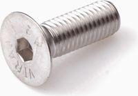 Hoenderdaal Fasteners Hoenderdaal Inbusbout RVS-A2 M8x30mm DIN7991 - 100 stuks