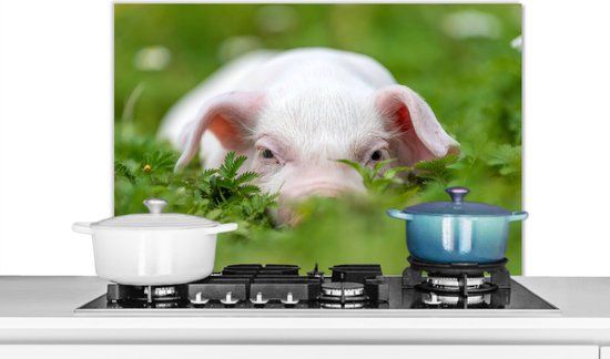 KitchenYeah Spatscherm keuken 90x60 cm - Kookplaat achterwand Varken - Dieren - Big - Muurbeschermer - Spatwand fornuis - Hoogwaardig aluminium