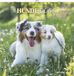 Alfaedition Hunde 2026 - Wandkalender 30x30 cm