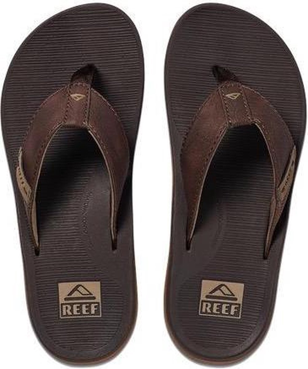 Reef Santa Ana Bruin