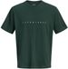 JACK & JONES JJESTAR JJ TEE SS NOOS - Heren - T-shirt