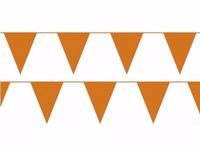 Merkloos / Sans marque Partyxplosion B.V. Vlaggenlijn - 20 vlaggetjes - oranje - 10 meter - Koningsdag / WK / EK voetbal