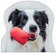 Sweet Home Border Collie coussin décoratif moulé