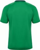 Hummel Sportshirt Hmlmatch Triumph Jersey S/S 233157