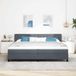 Maison Exclusive - Lit boxspring avec tête de lit, gris foncé, 200 x 200 cm, velours