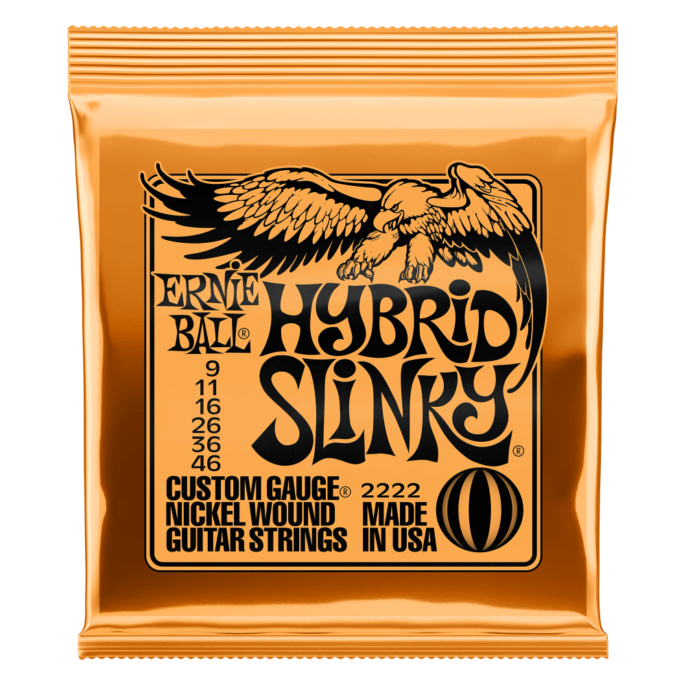 Ernie Ball P02222