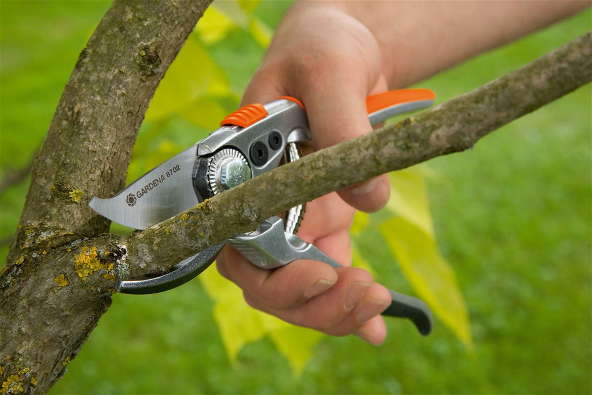 Gardena Premium Snoeischaar BP 50 | Bypass | Roestvrijstaal | 2,2 cm