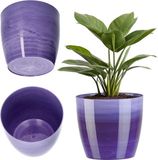Merkloos Ronde kunststof bloempot voor cactussen en varens - 12 cm violet