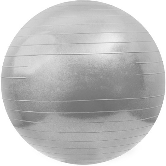 Matchu Sports Fitnessbal - Ã˜ 65 cm - Zilver