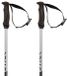 Volkl Phantastick bâtons 18mm Argent 120 cm