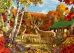 Enjoy Puzzle Somewhere in a Field - 1000 pièces