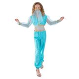 Smiffys Arabisch prinsessenkostuum, inclusief broek, top en Halloween hoofddeksel