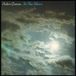 Peter Green In the Skies