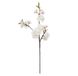EUROCINSA Ref.90438C01 EEMURUS wit met groen, doos met 12 stuks, 90 cm