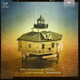 Brilliant Classics Erik Bosgraaf - Hotel Terminus (LP)