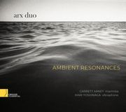 New Arts International Bv Arx Duo: Ambient Resonances