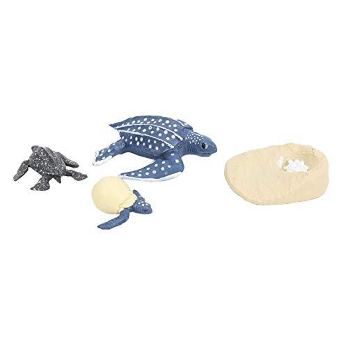 Sdfafrreg Toys, Ocean Animal Figurines Decoratief Educatief voor Verjaardagscadeaus voor Educatieve Projecten voor Wetenschap Leren voor Handwerk Decoratie(2425-Leatherback schildpad groeicyclus)