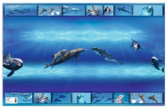 HERMA bureauonderlegger Afrika Dieren, 55 x 35 cm