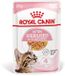 Royal Canin Chatons Stérilisés gelée | 12x85g