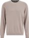 WE Fashion Heren Regular Fit Trui Greige Katoen XS