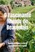 O Beaujolais O Fascinante Mundo de Beaujolais: História, Produção e a Arte da Harmonização com a Gamay