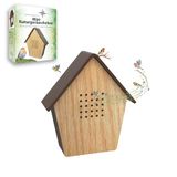 Northpoint Mini-natuurgeluidsbox, vogel, zang, vogeltjilp, met echt hout, bewegingsmelder, vogelgeluid, licht, oplaadbaar met wandhouder (1 stuks)