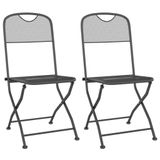 VidaXL Tuinstoelen Inklapbaar 2 stuks Metaalgaas Antraciet