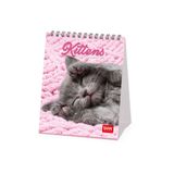 Legami Tafelkalender 2027, kittens, bureaukalender, 12 maanden en jaarplanner, in 6 talen, sterrenbeelden, internationale feestdagen, 12 x 14,5 cm