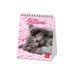 Legami Tafelkalender 2027, kittens, bureaukalender, 12 maanden en jaarplanner, in 6 talen, sterrenbeelden, internationale feestdagen, 12 x 14,5 cm