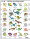 Larsen Fascinerende Dinosauriërs (Maxi) PL - Puzzle