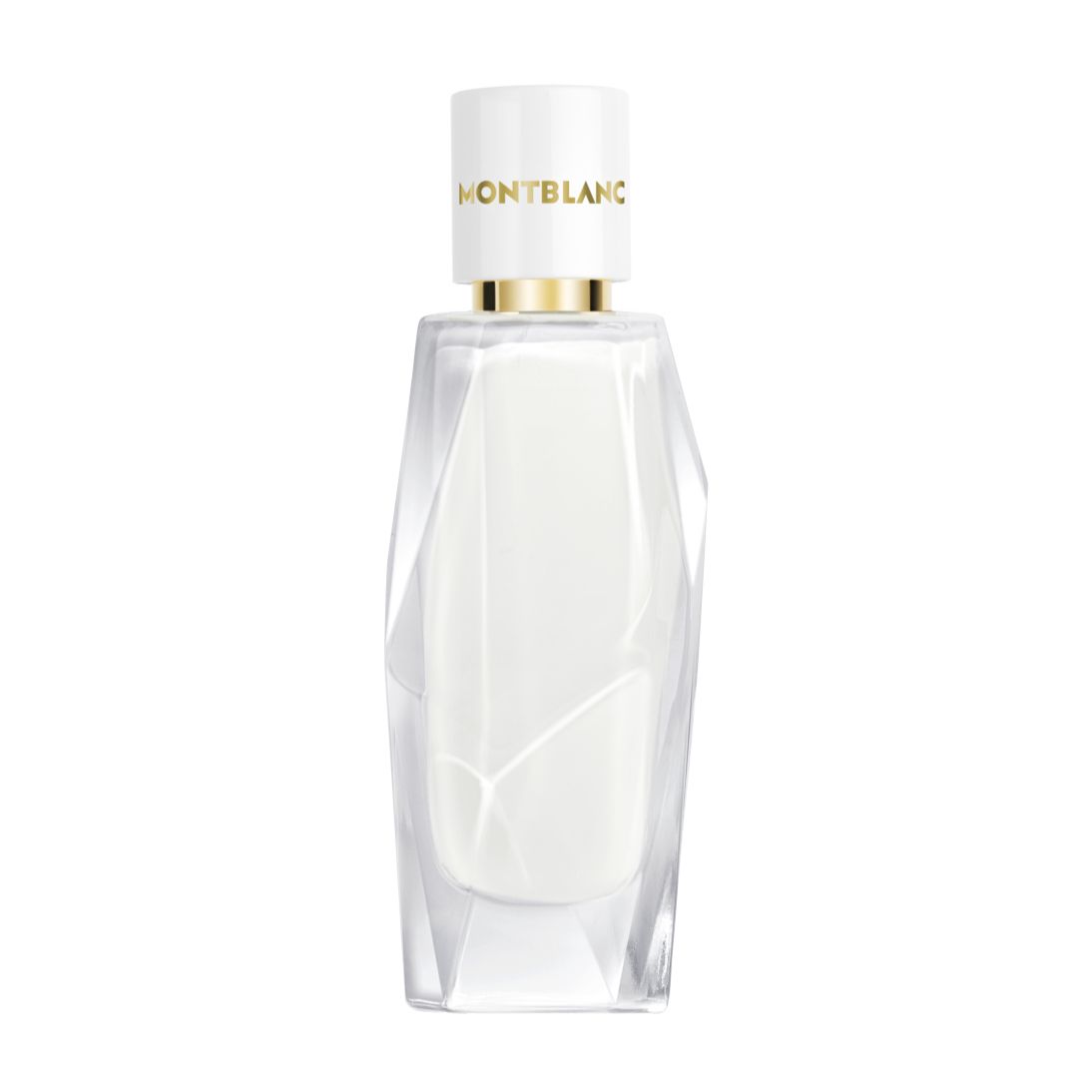 Mont Blanc / Signature / 