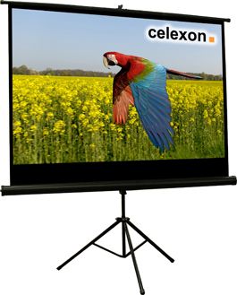 Celexon 1090022 - Projectiescherm - 16:9 - 219 x 122 cm - Zwart/Wit