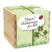 Feel Green ecobox, geluksklaver Kleener geluksbrenger voor jou, planten uit de houten kist 11 x 11 x 10 cm, Made in Austria, duurzaam cadeau-idee, kweekset