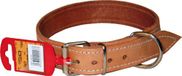 Patacho CO-5 - lederen halsband 60 cm x 2,7 cm.