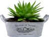 Sunnydays Plantenpot - Zink - Zilver - L31 x D12 x H13 cm